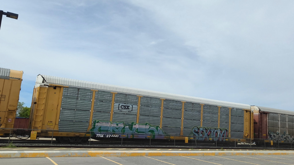 CSX B3166 (Body) TTGX 974440 (Flat)